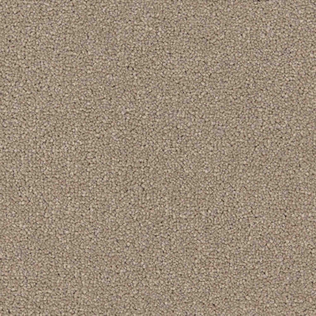 Renaissance Carpet