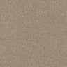 Renaissance Carpet