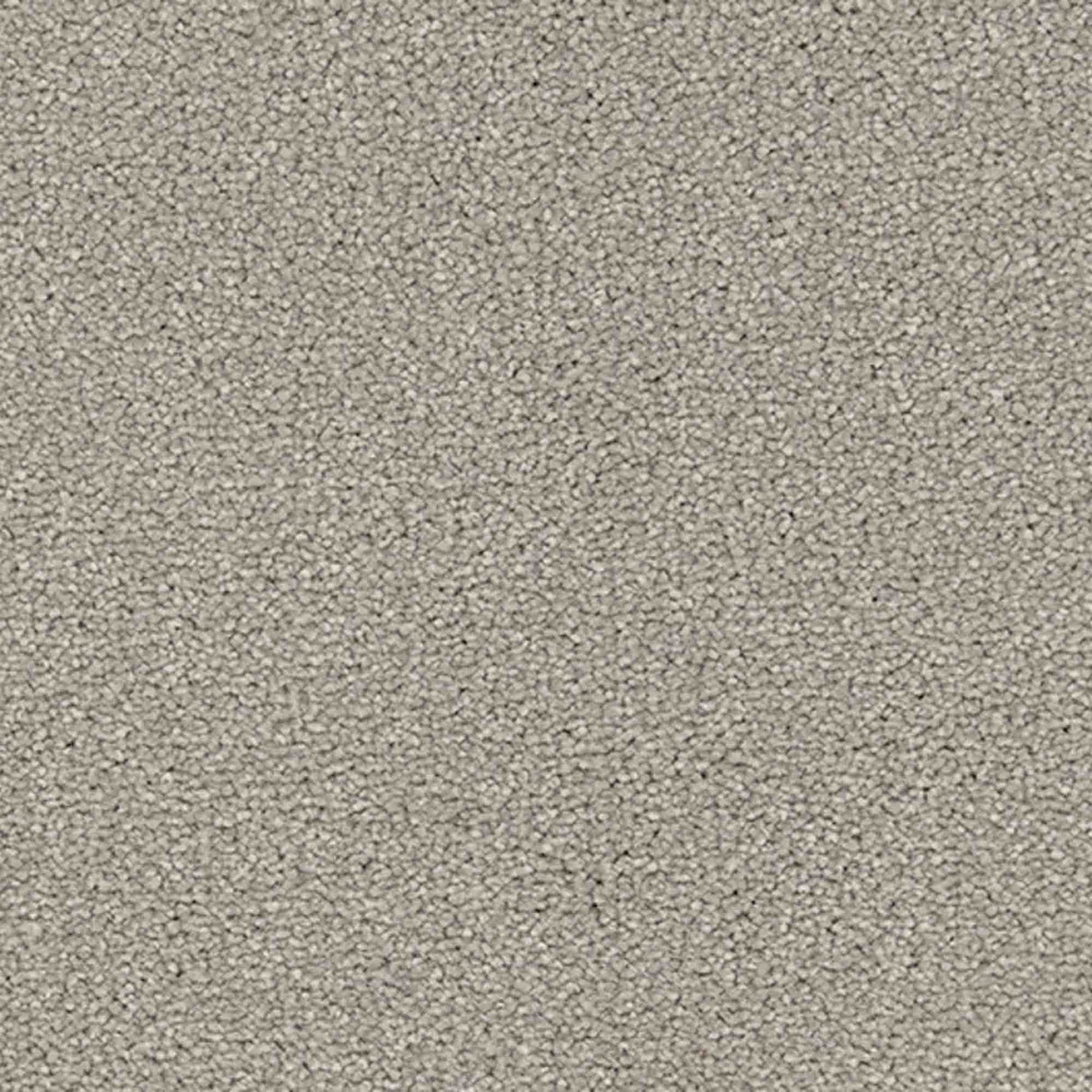 Renaissance Carpet
