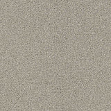 Renaissance Carpet