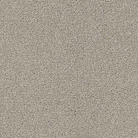 Renaissance Carpet