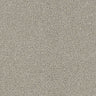 Renaissance Carpet