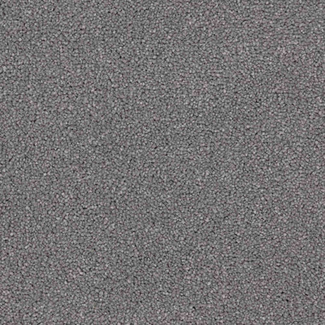 Renaissance Carpet