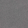 Renaissance Carpet
