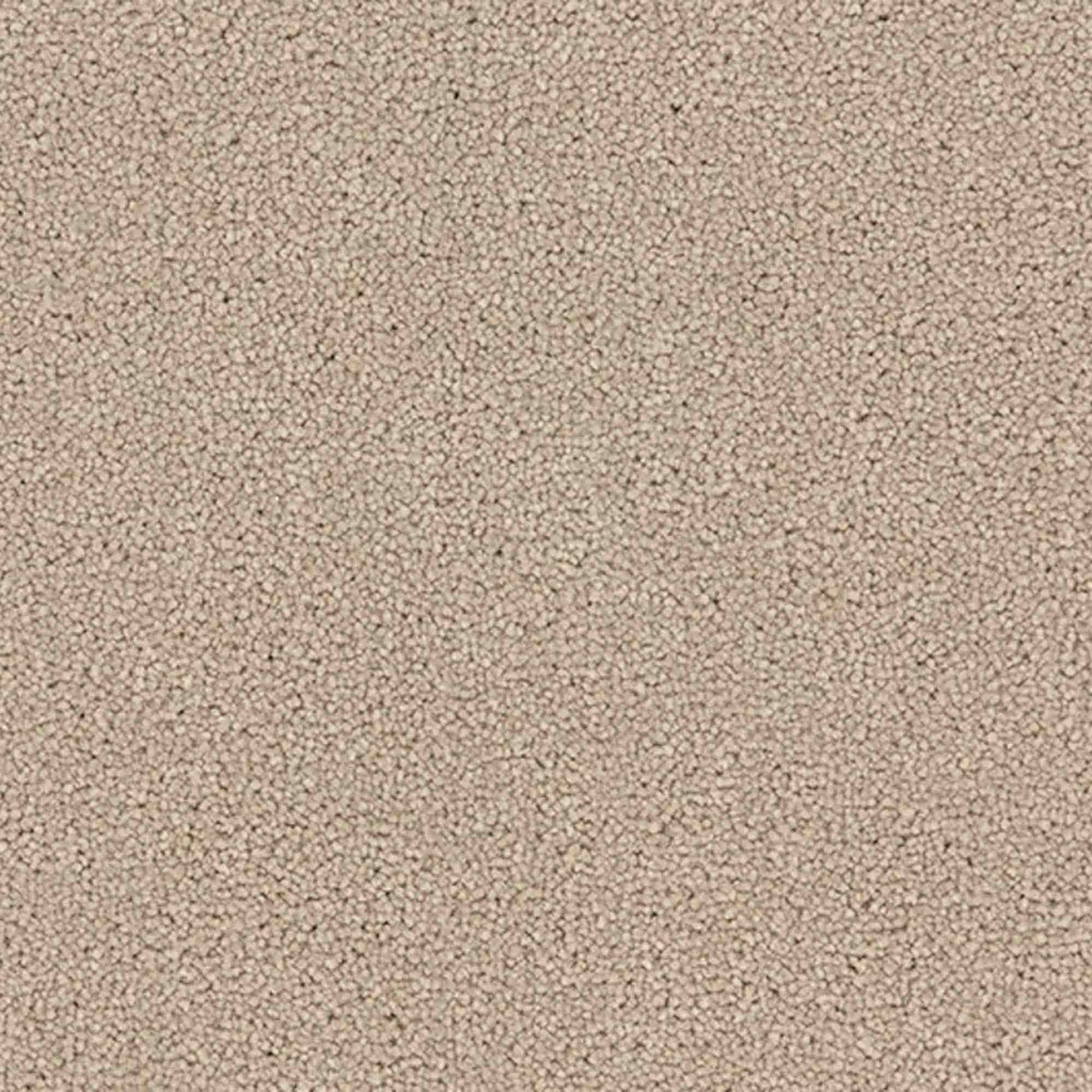 Renaissance Carpet