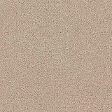 Renaissance Carpet
