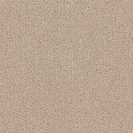 Renaissance Carpet