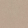 Renaissance Carpet