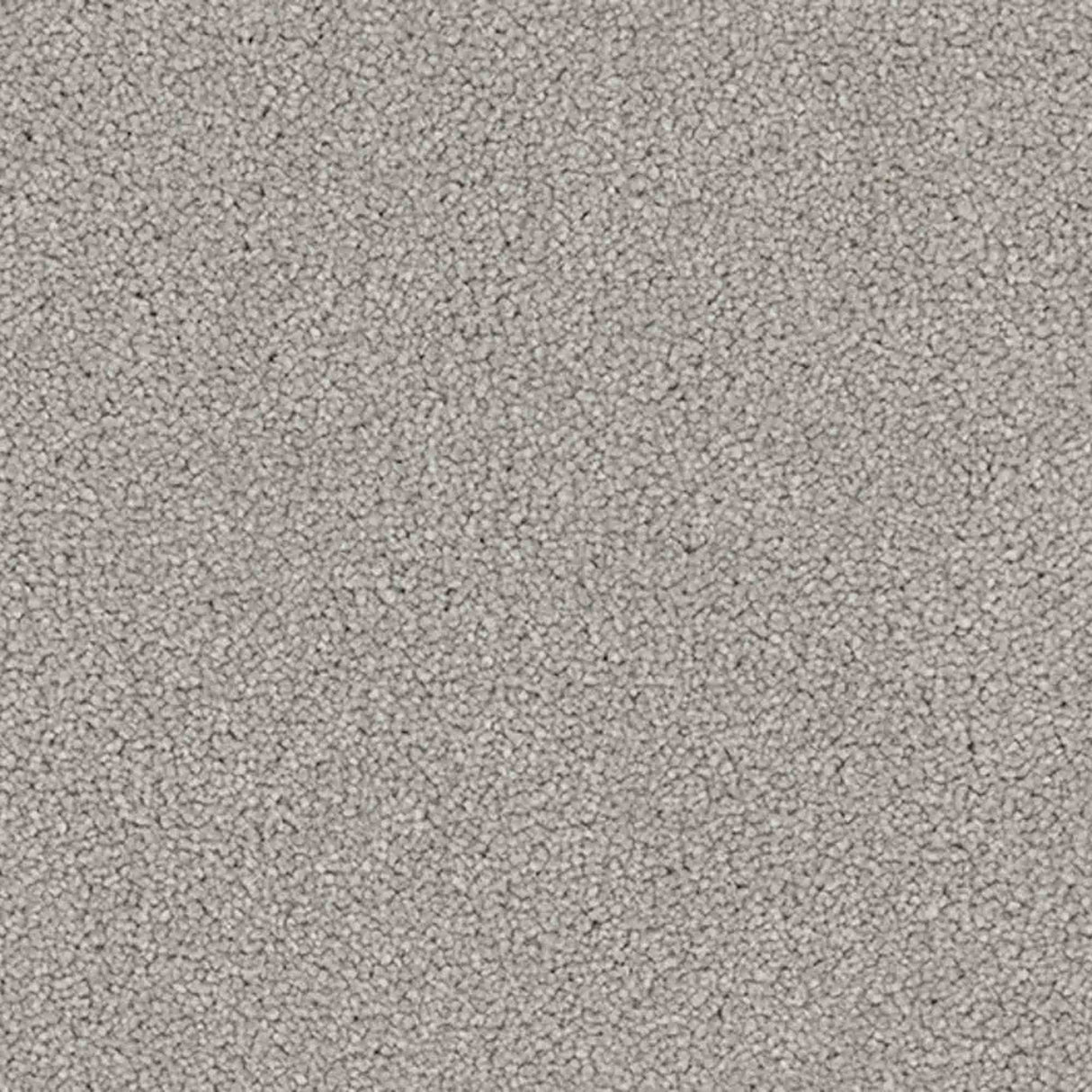 Renaissance Carpet