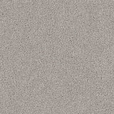 Renaissance Carpet