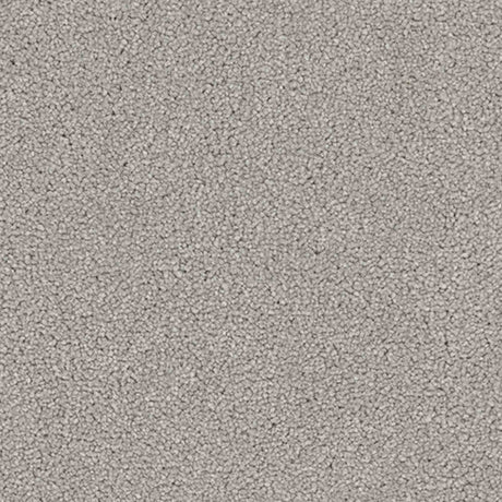 Renaissance Carpet