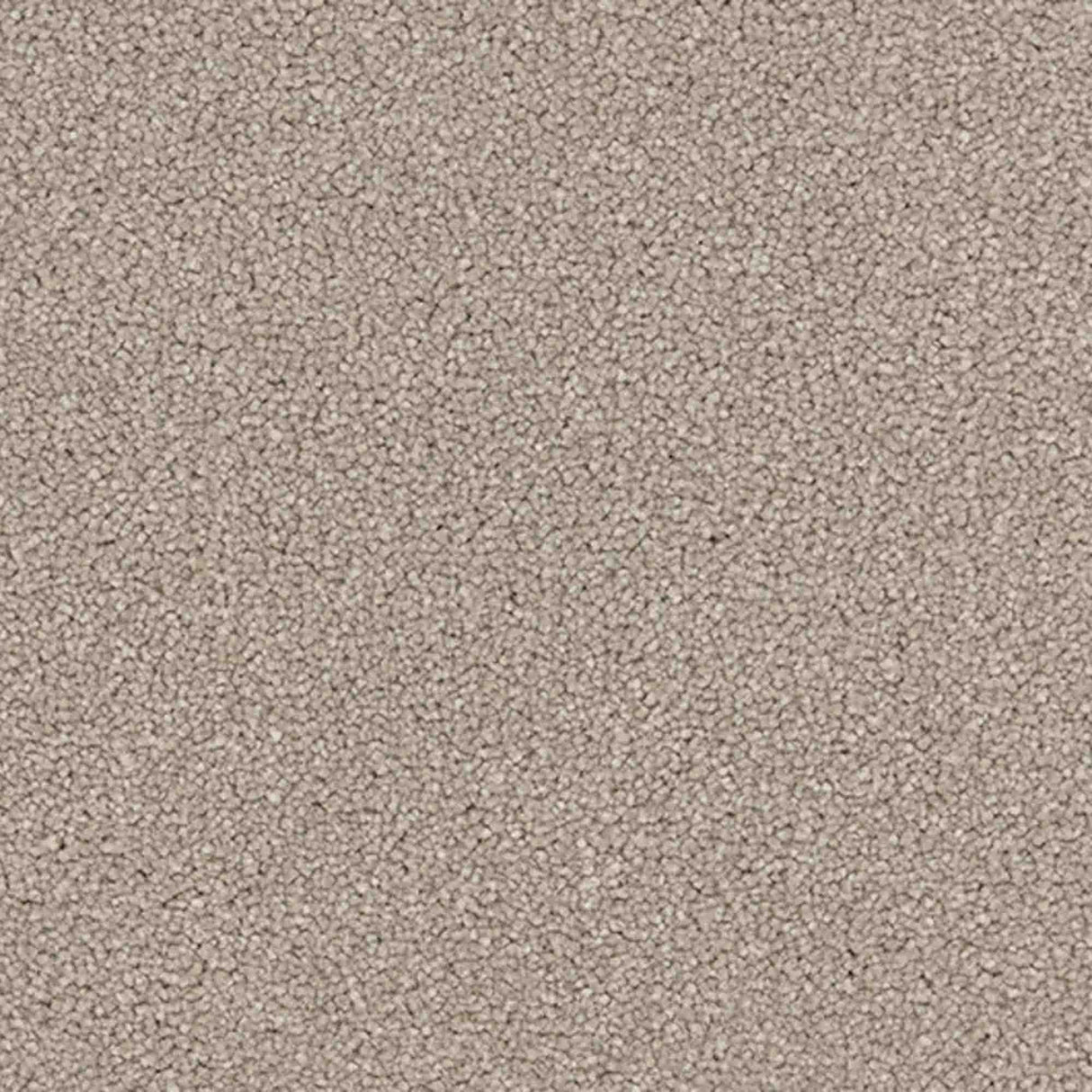 Renaissance Carpet