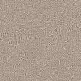 Renaissance Carpet