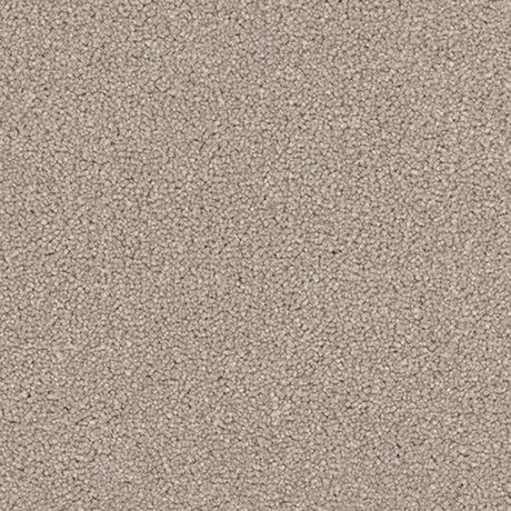 Renaissance Carpet