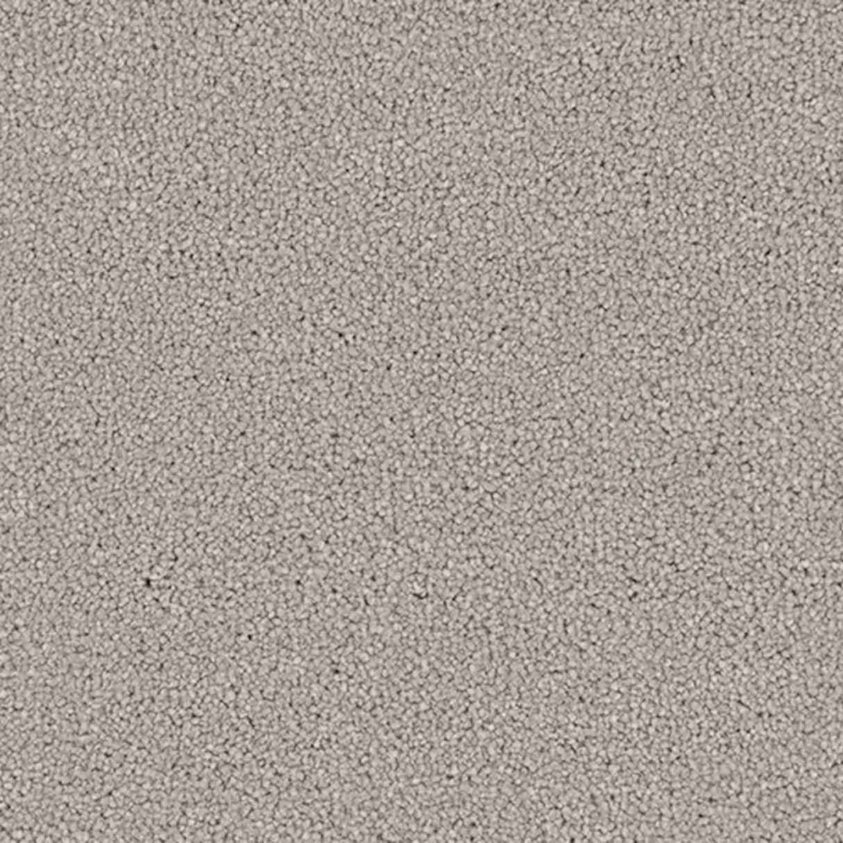 Renaissance Carpet