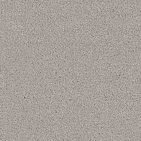 Renaissance Carpet