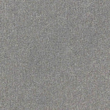 Renaissance Carpet