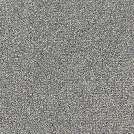 Renaissance Carpet