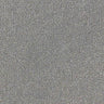 Renaissance Carpet