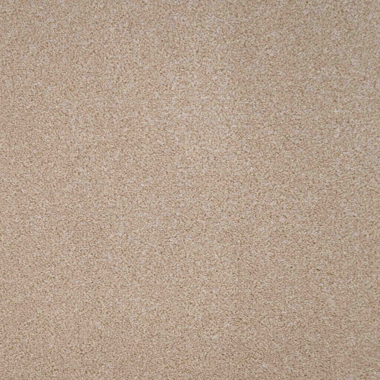 Revelation Carpet