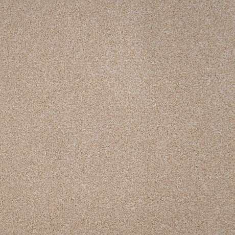 Revelation Carpet