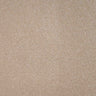 Revelation Carpet