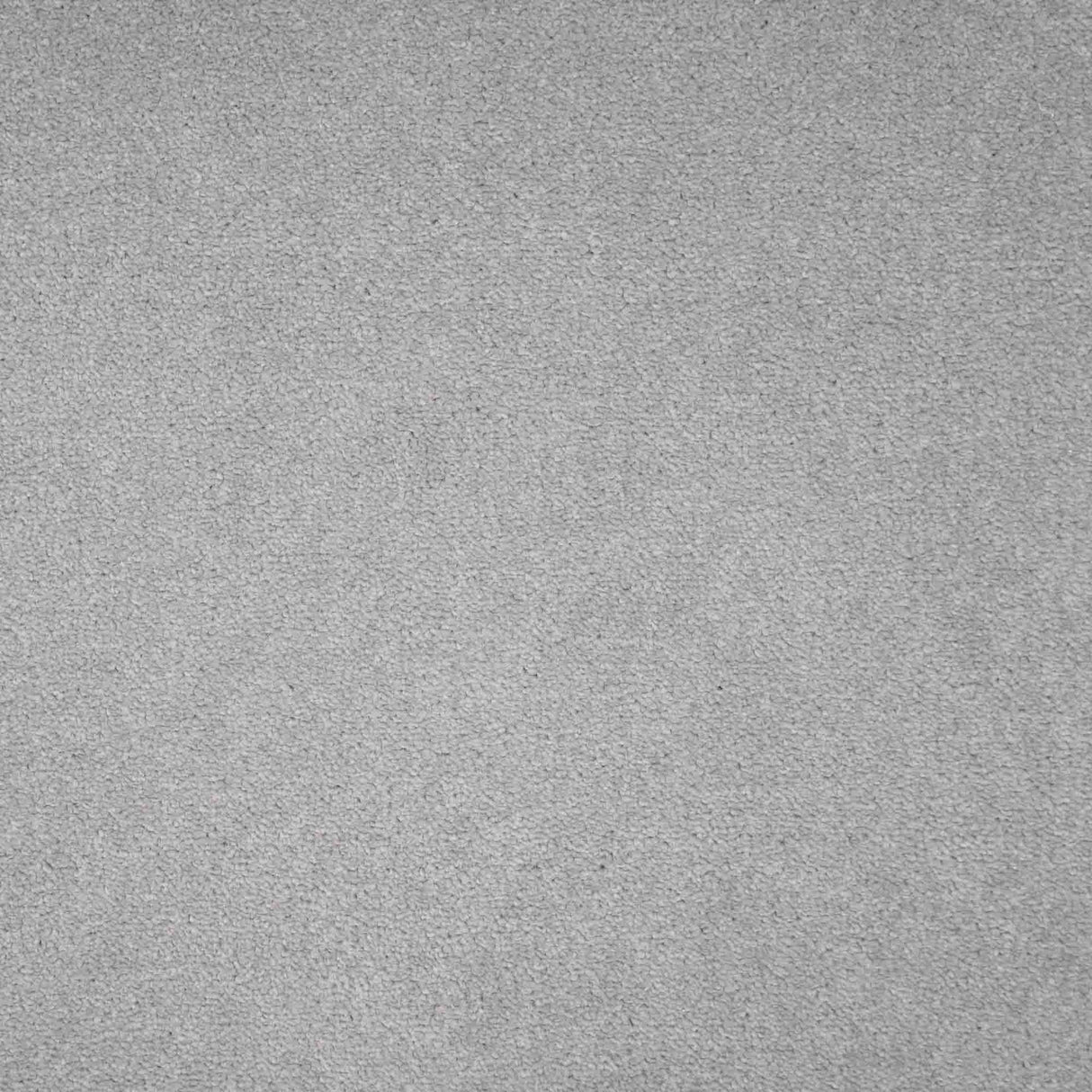 Revelation Carpet