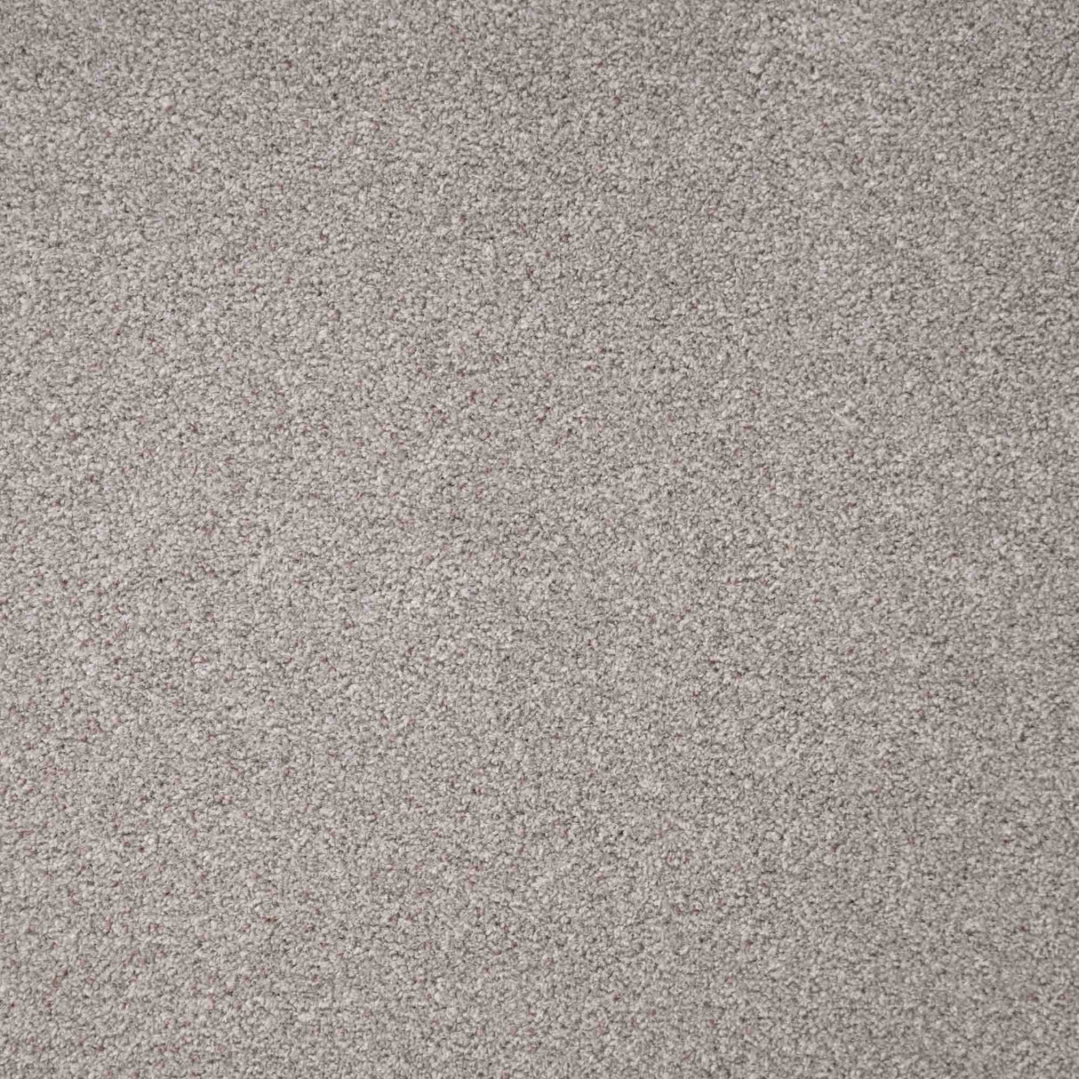 Revelation Carpet