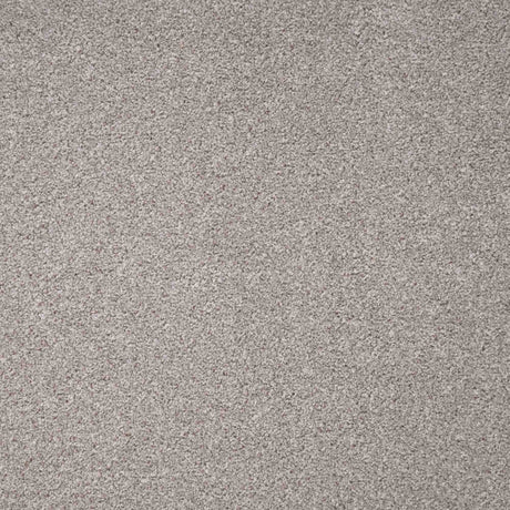 Revelation Carpet