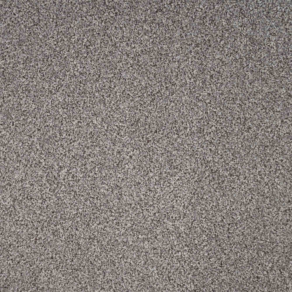 Revelation Carpet