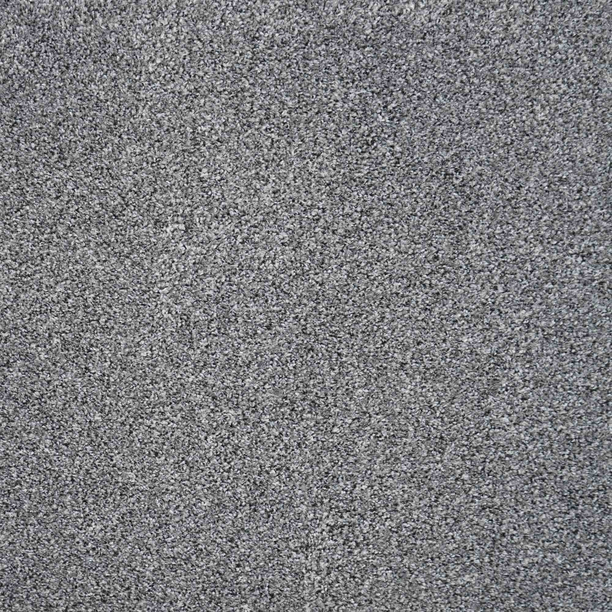 Revelation Carpet