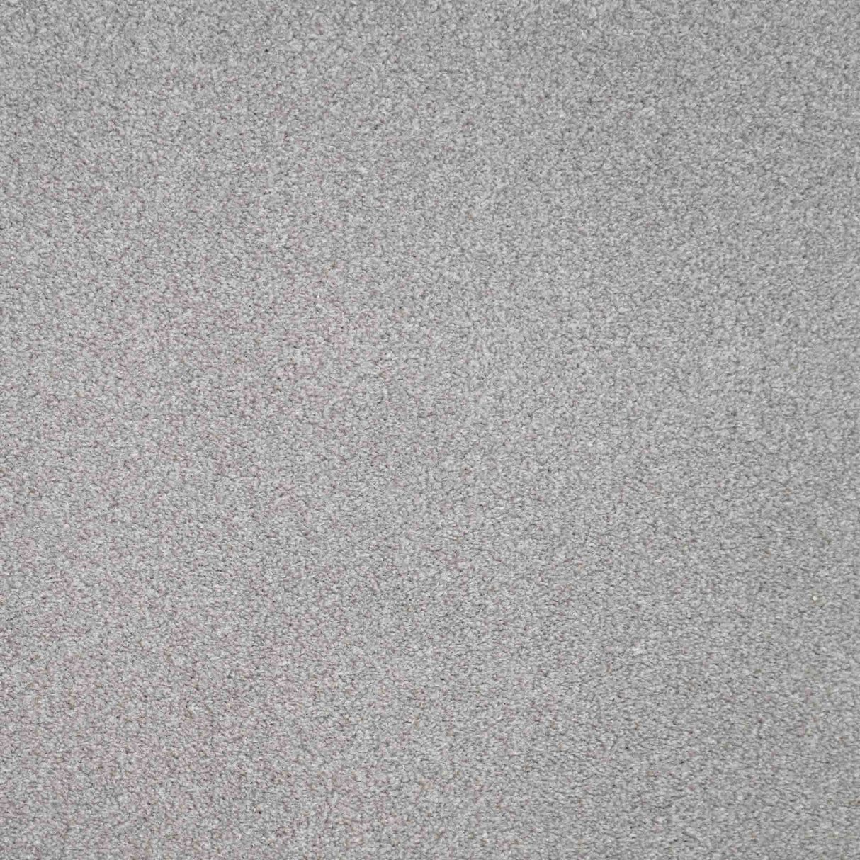 Revelation Carpet