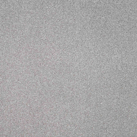 Revelation Carpet