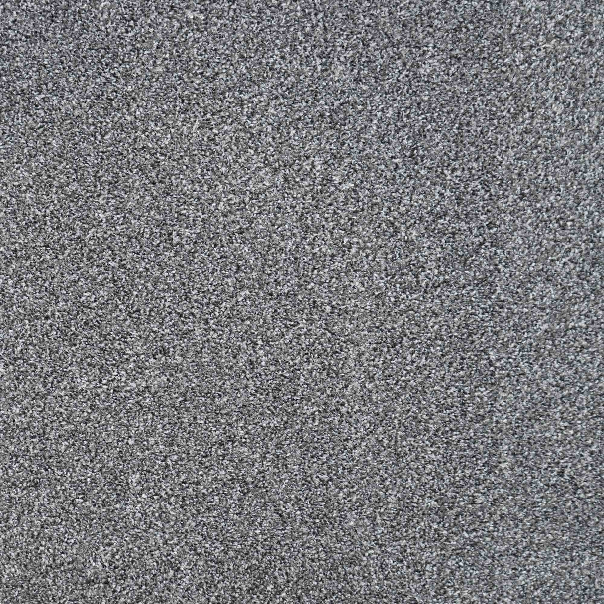 Revelation Carpet