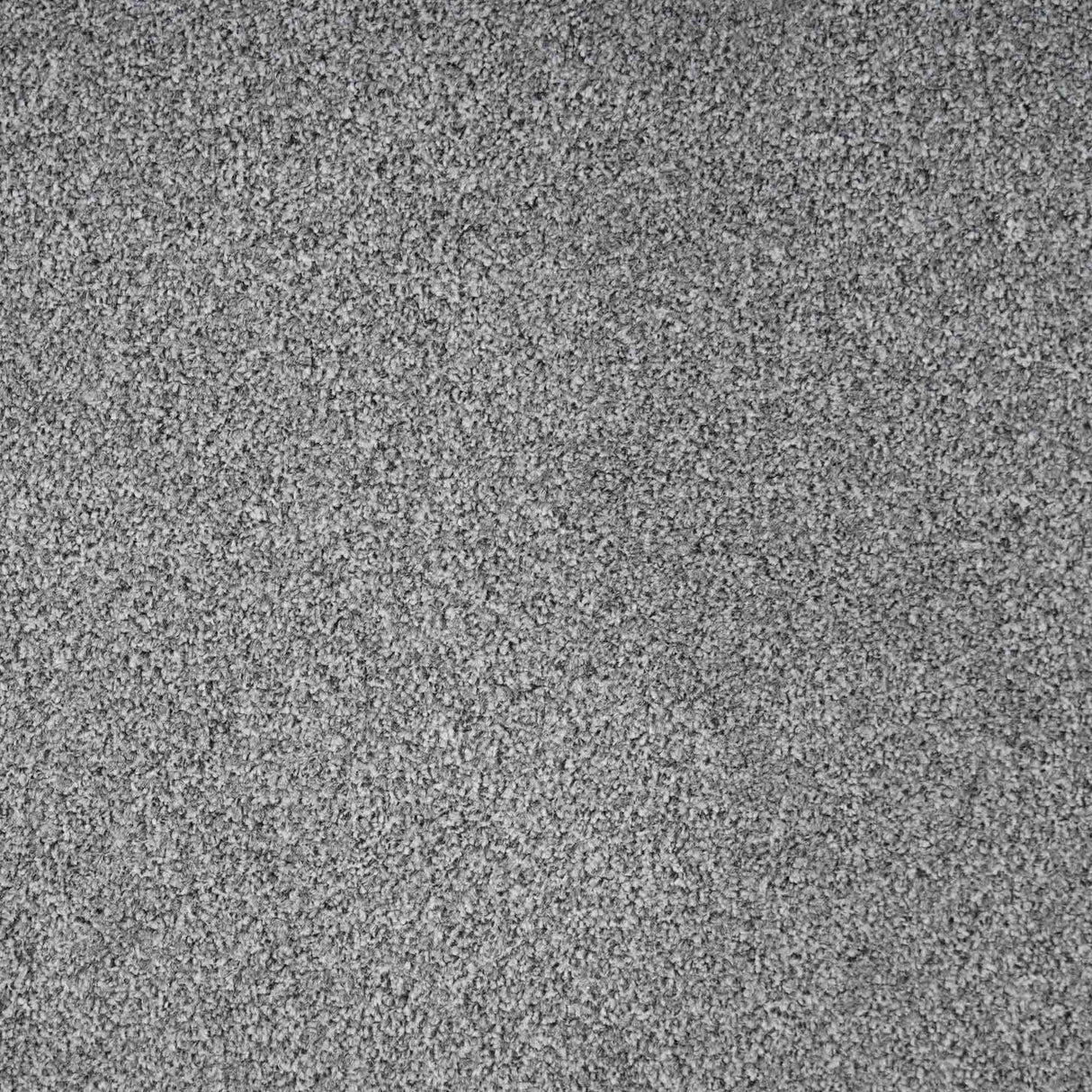 Revelation Carpet