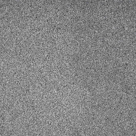 Revelation Carpet
