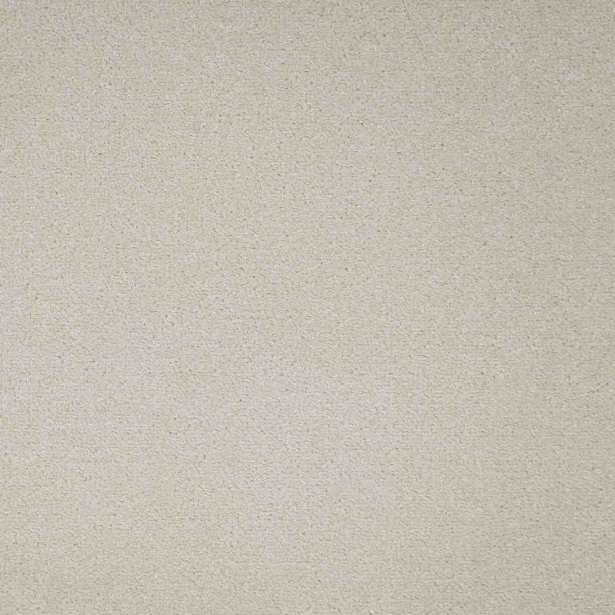 Revelation Carpet