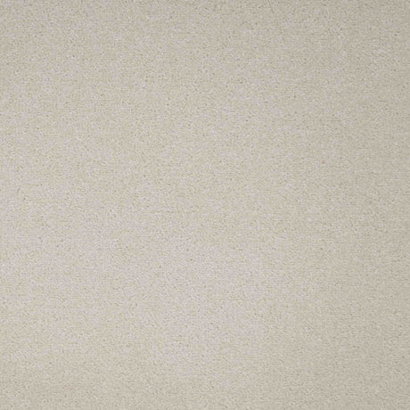 Revelation Carpet