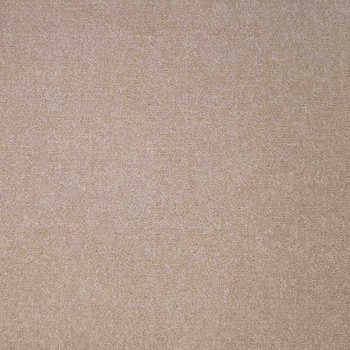 Revelation Carpet