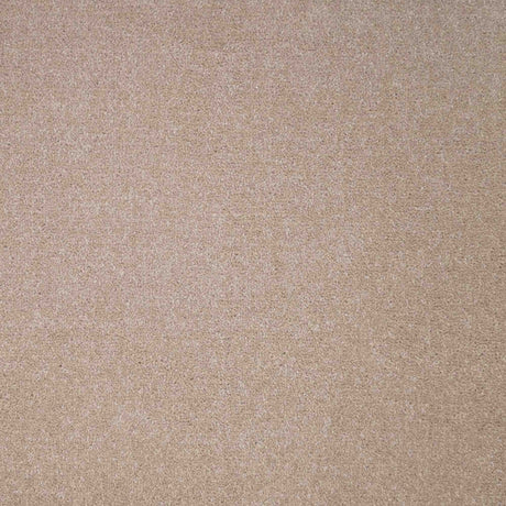 Revelation Carpet