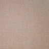 Revelation Carpet