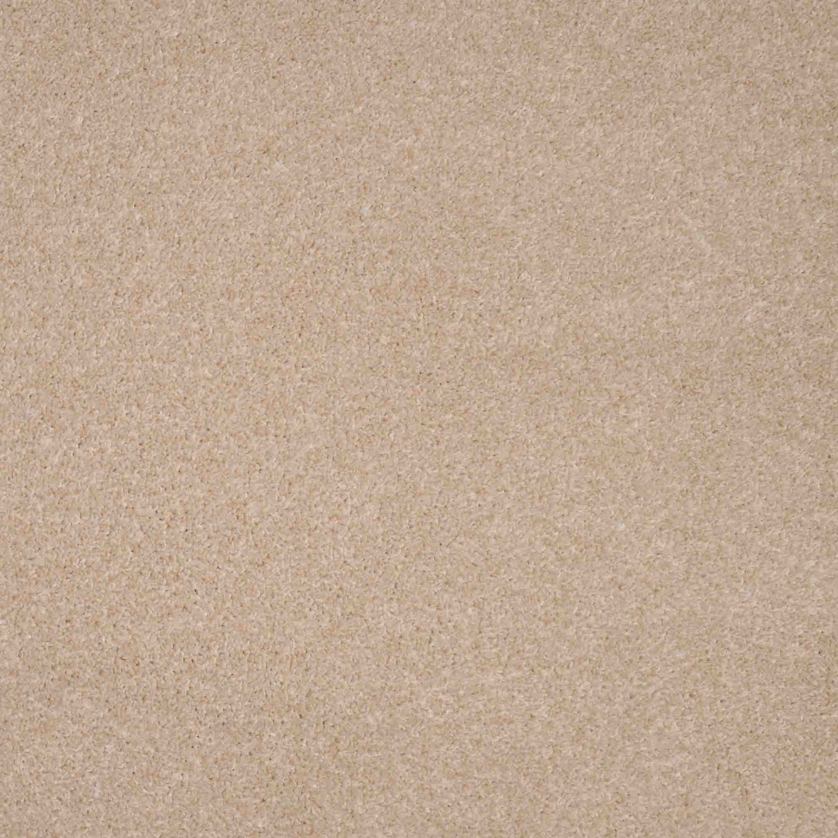 Revelation Carpet