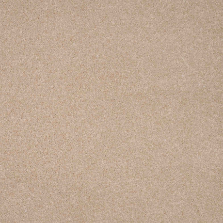 Revelation Carpet