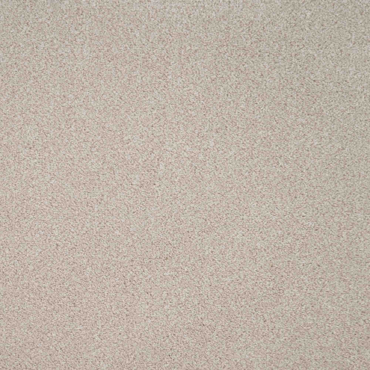 Revelation Carpet