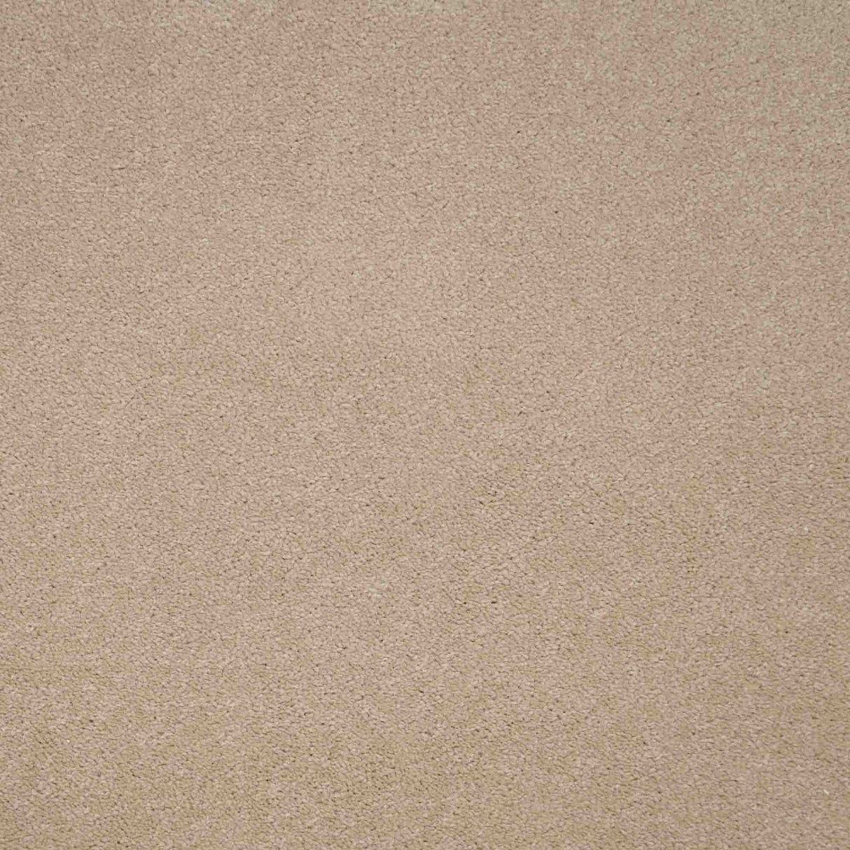 Revelation Carpet