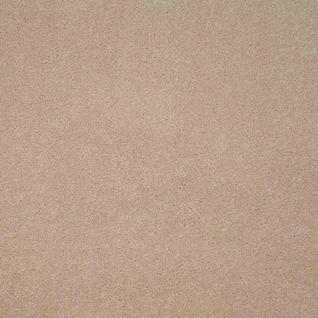 Revelation Carpet