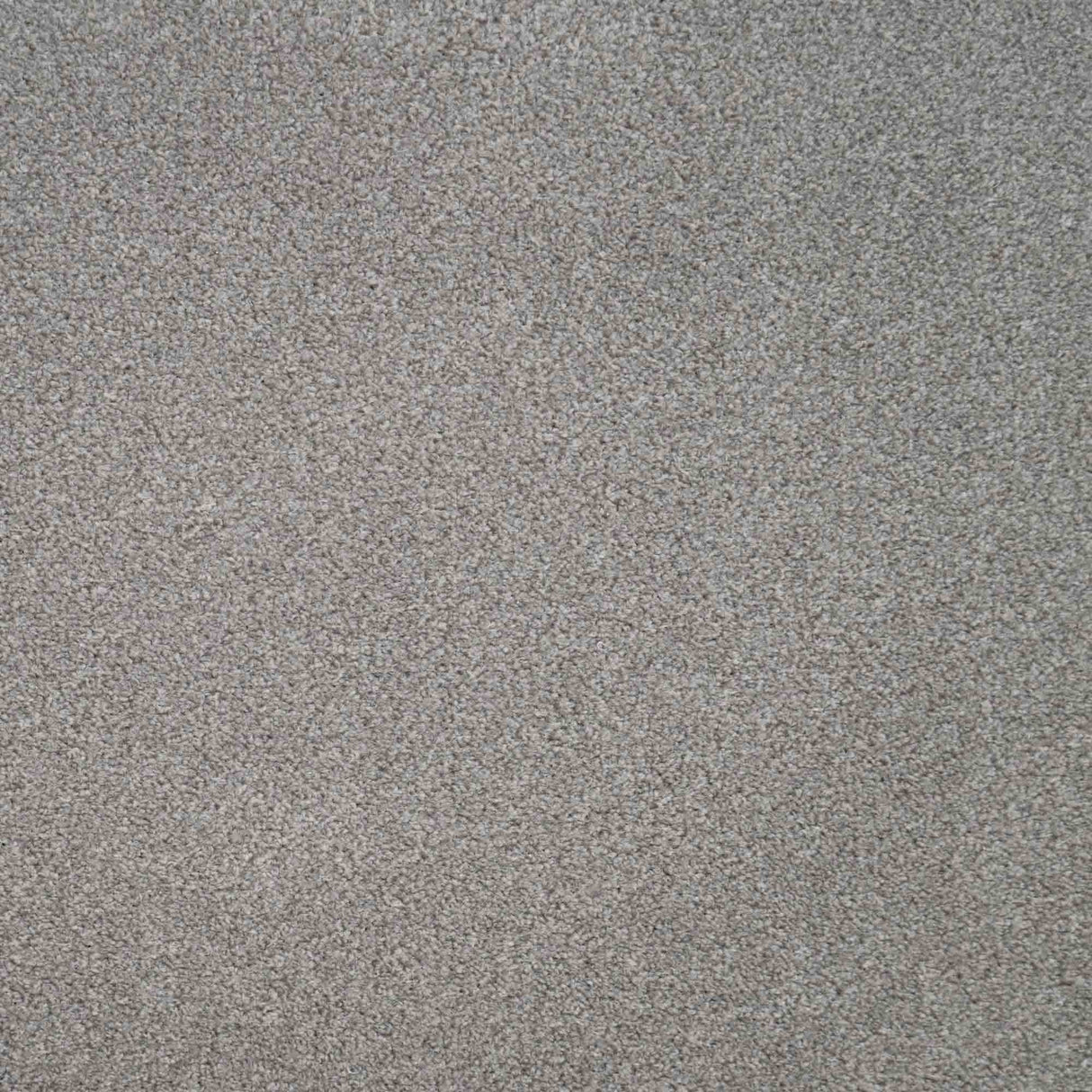 Revelation Carpet