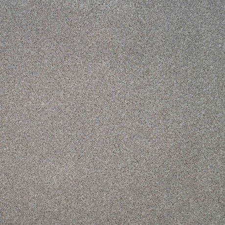 Revelation Carpet