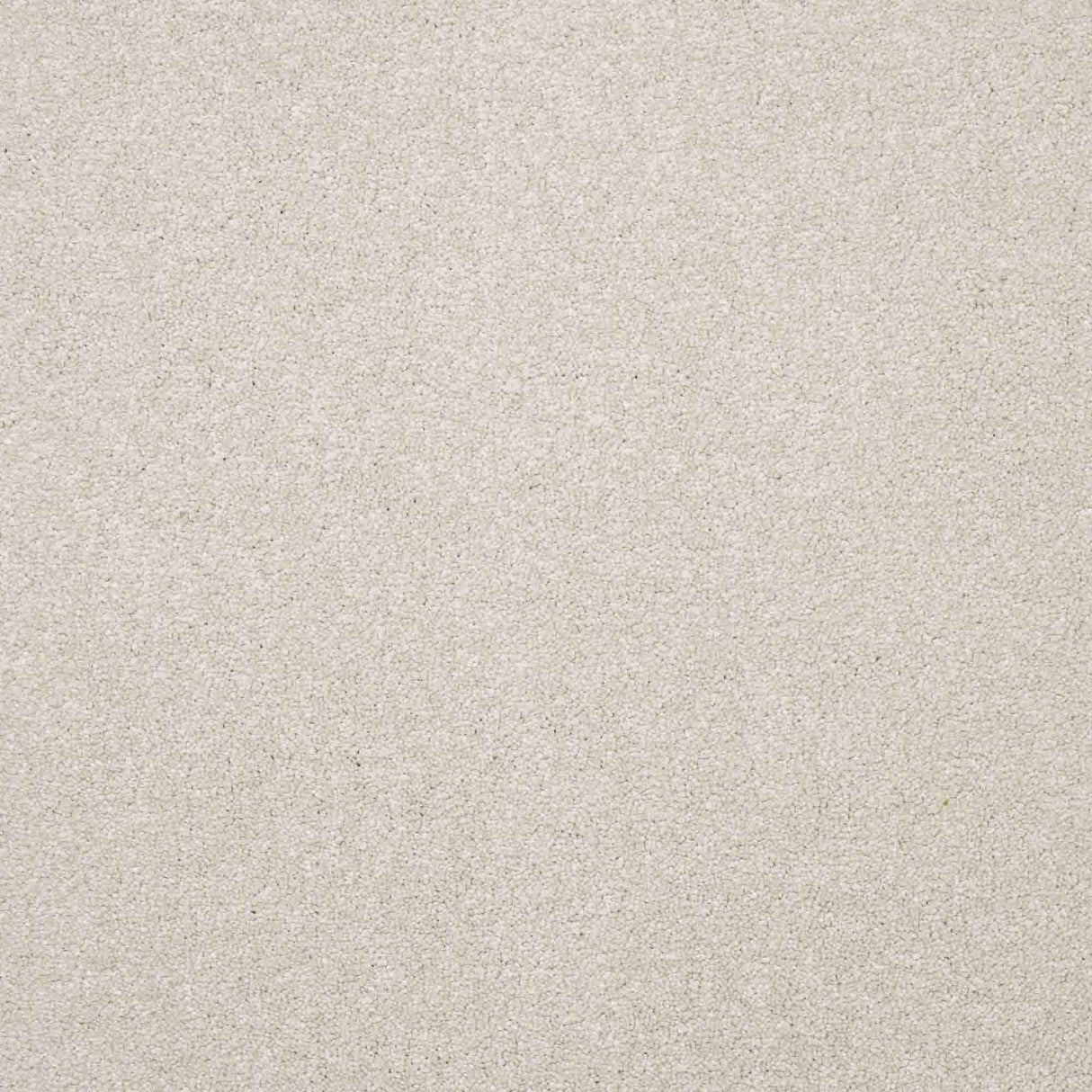 Serenity Carpet