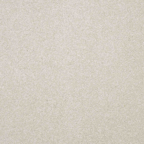 Serenity Carpet